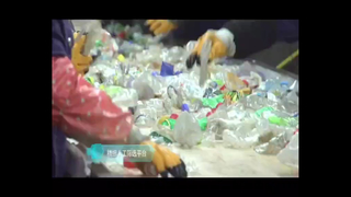 De Inleiding van bedrijfrpet